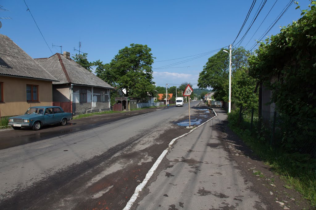 Velykyj Bychkiv 2012