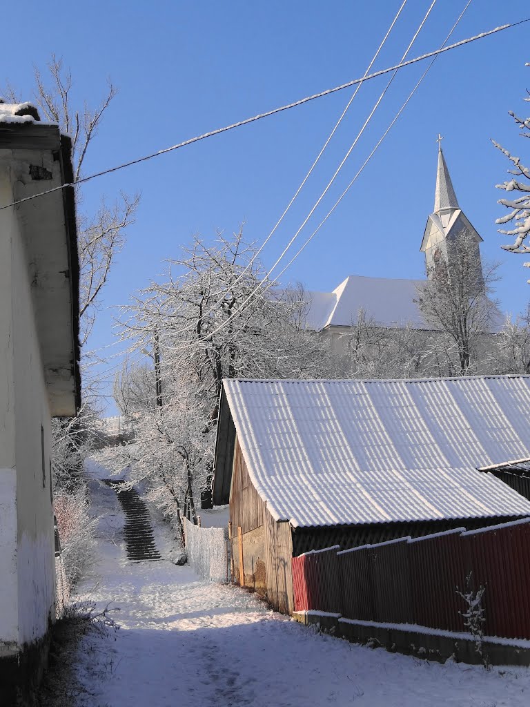 BISERICA ORTODOXA BOCICOIU MARE