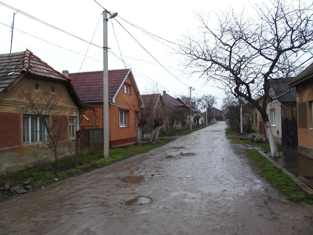вул. Добролюбова