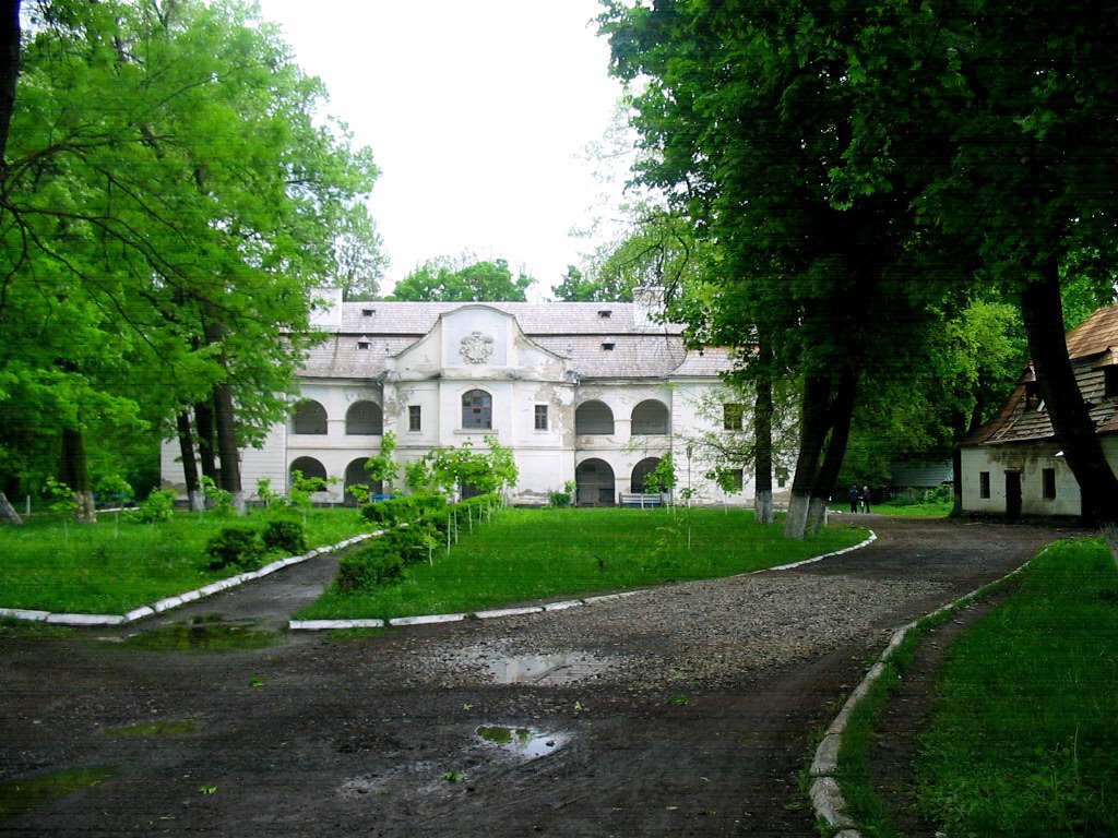 Perényi Mansion 2005