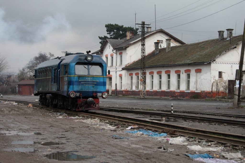 Narrow gauge locomotive
