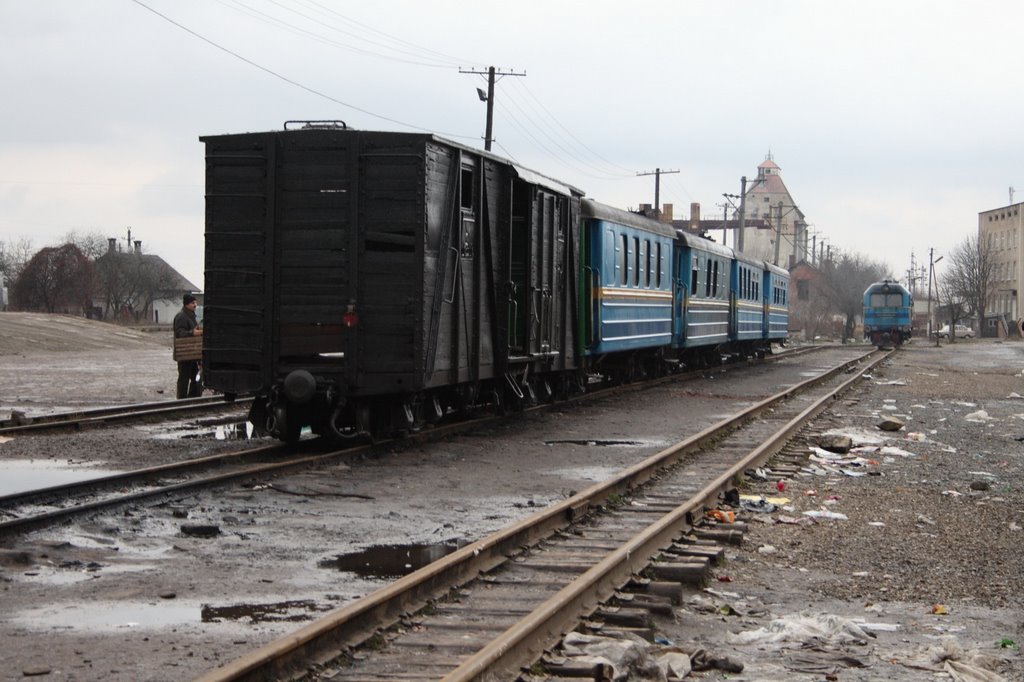Narrow gauge train