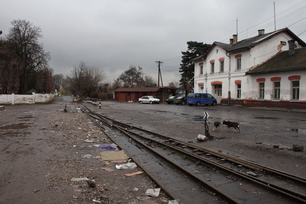 Narrow gauge railway