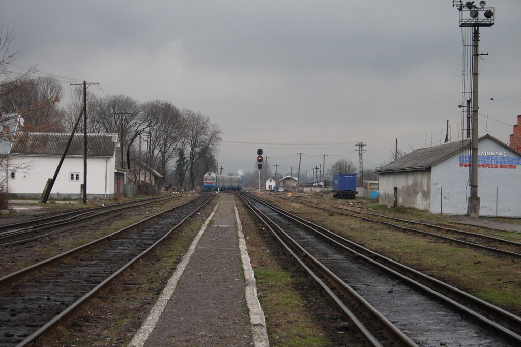 Vynohradiv rail station