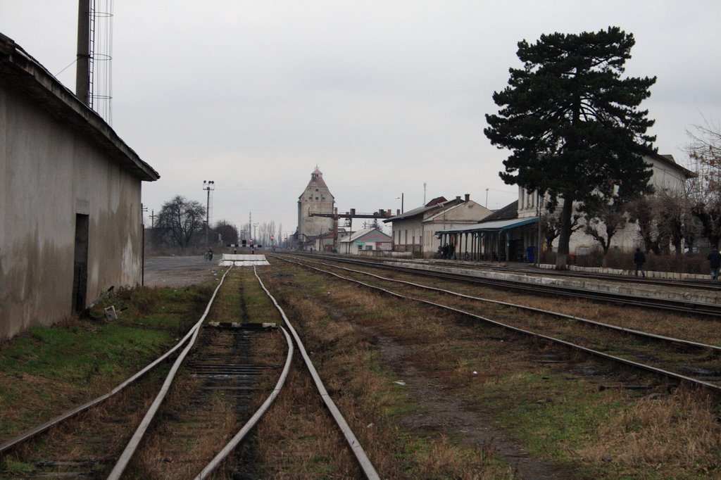 Vynohradiv rail station