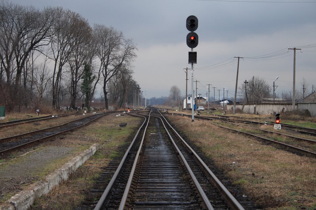 Vynohradiv rail station