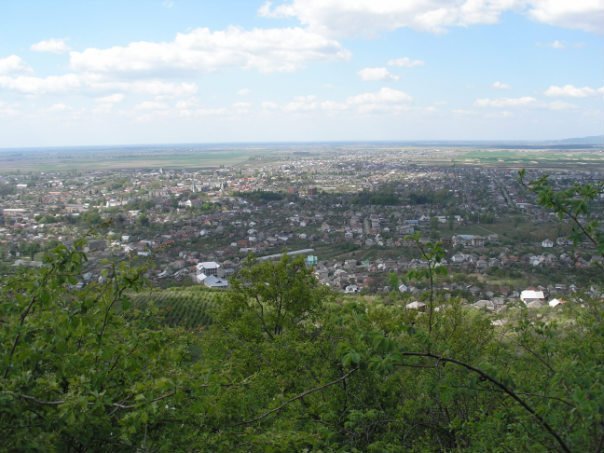 Виноградів