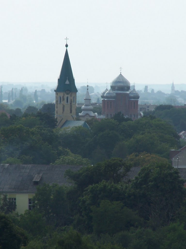 NAGYSZŐLŐS