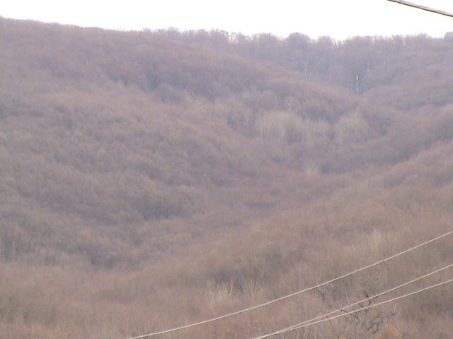 Чорна Гора