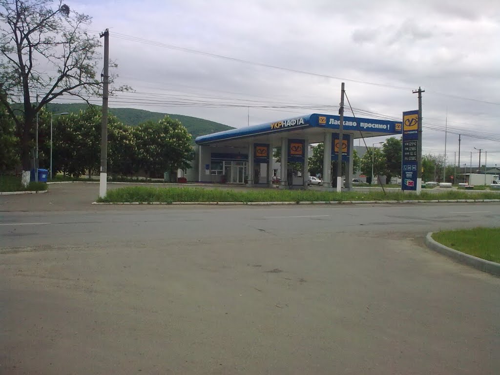Bătarci