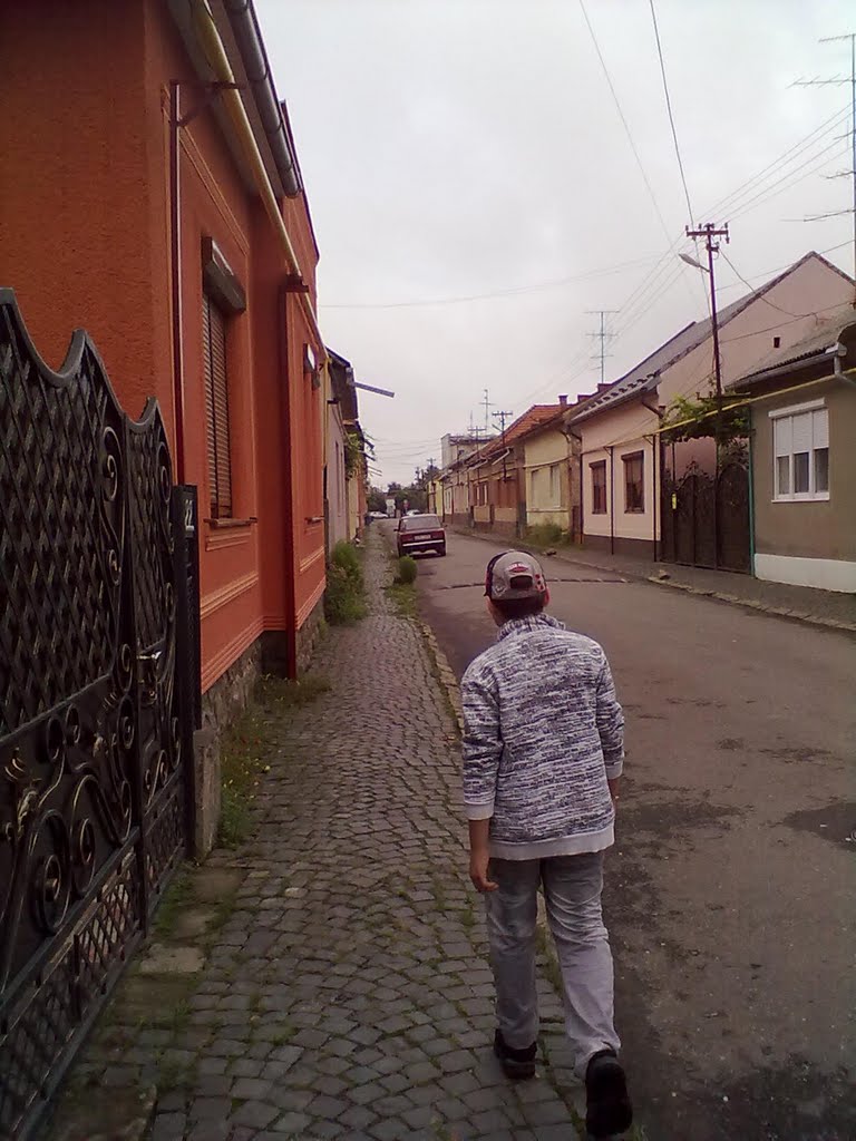 vinohradiv