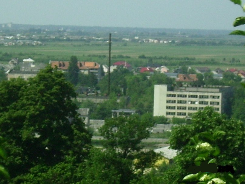 landscape