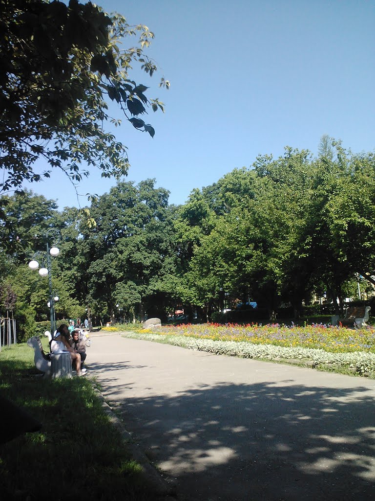 Turţ
