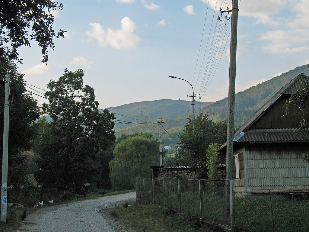 Volovec