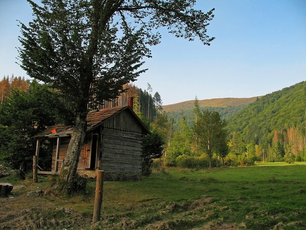 Pod Borzavou