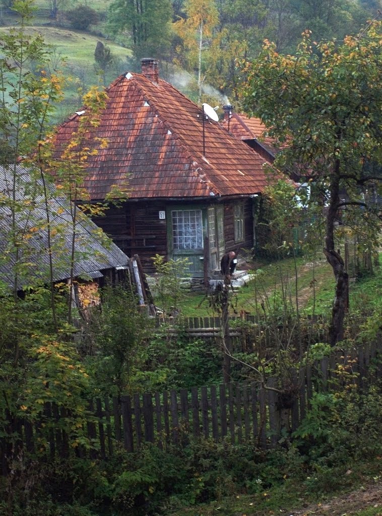 Двор /A Farm