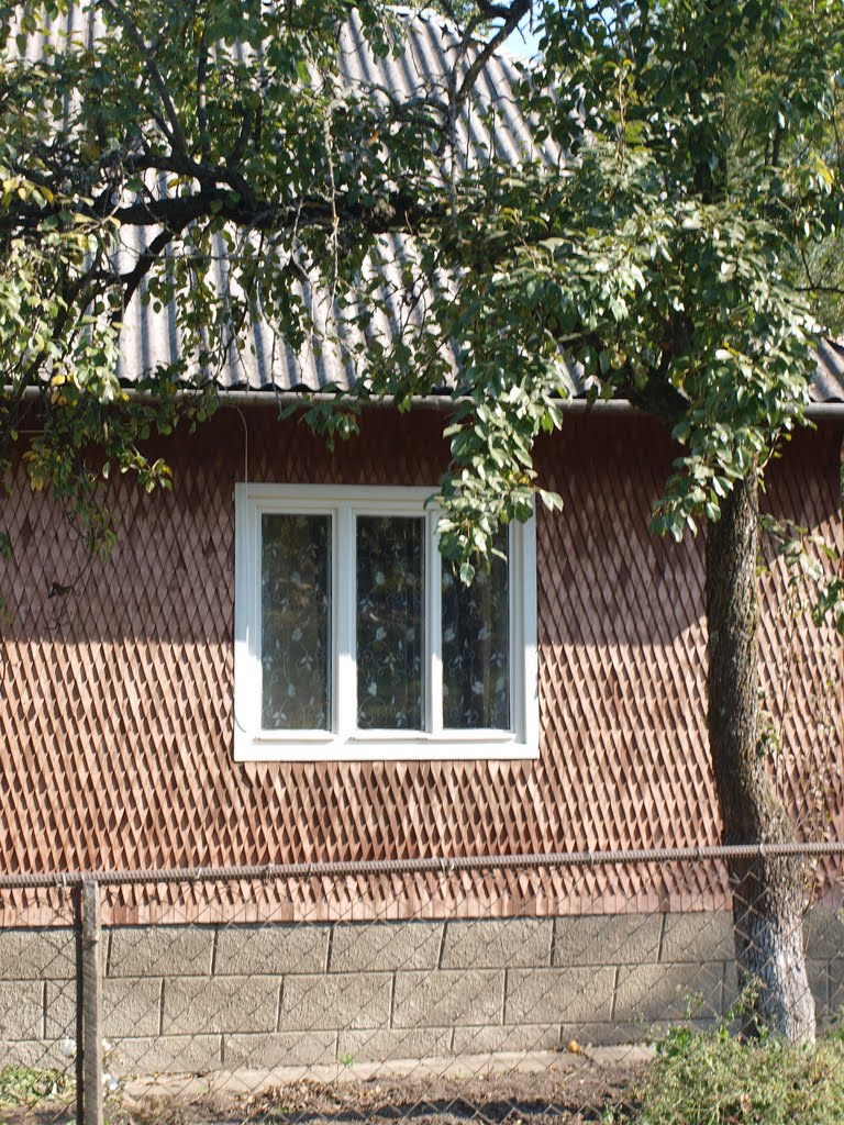 Дом с "чешуей" / A house with "scales"