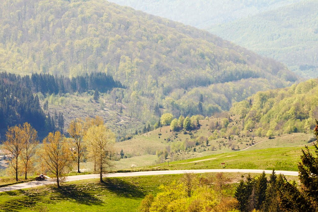 серпантин