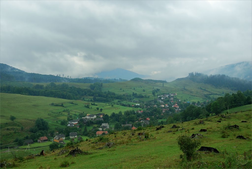 Боржава