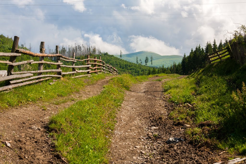 Полевая дорога