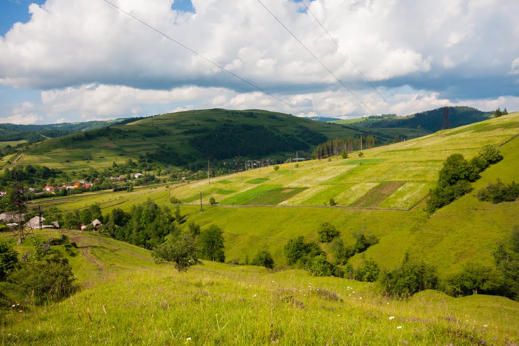 Полонины