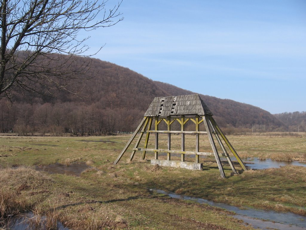Stavlish