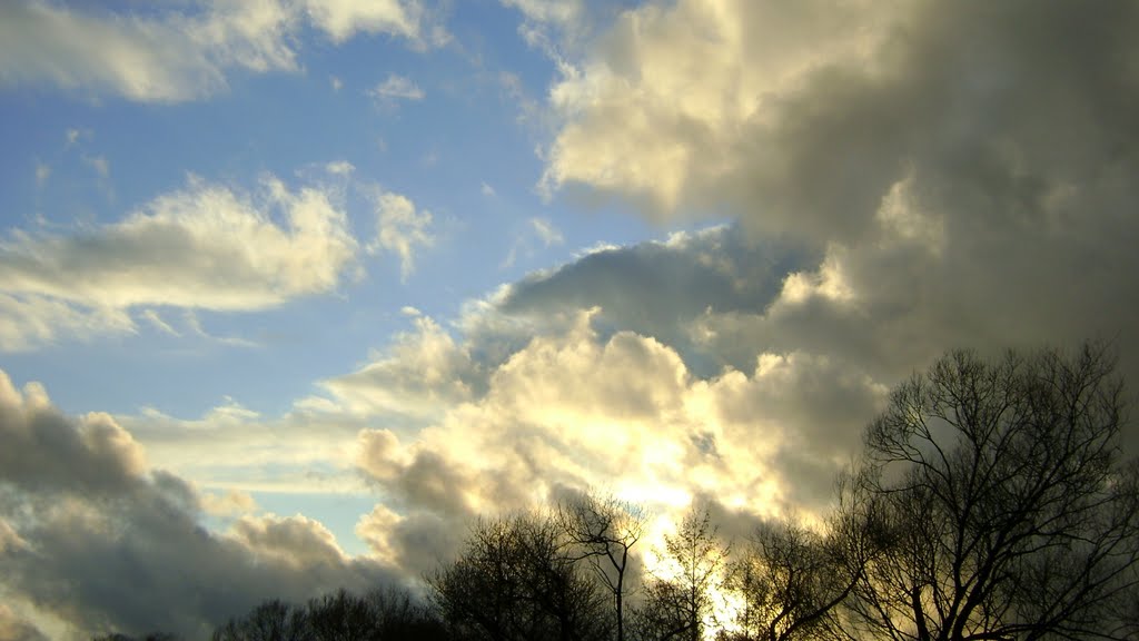 Хмари. Clouds