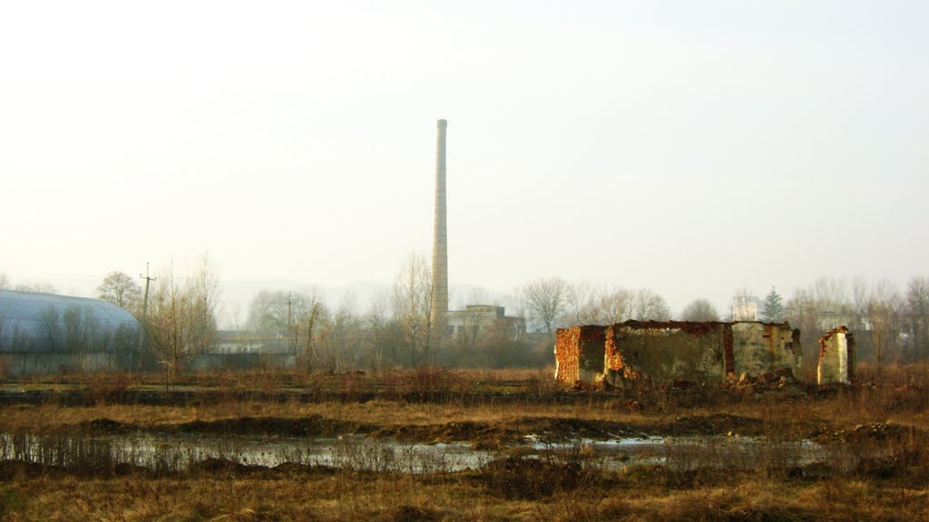 Іршава 004, Irshava 004 (Руїни)