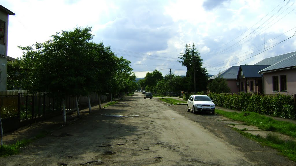 Іршава 005, Irshava 005 (вул. Шкільна)