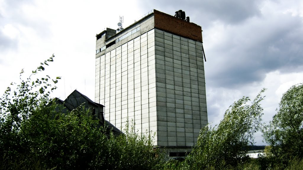 Іршава 008, Irshava 008 (Комбікорм)