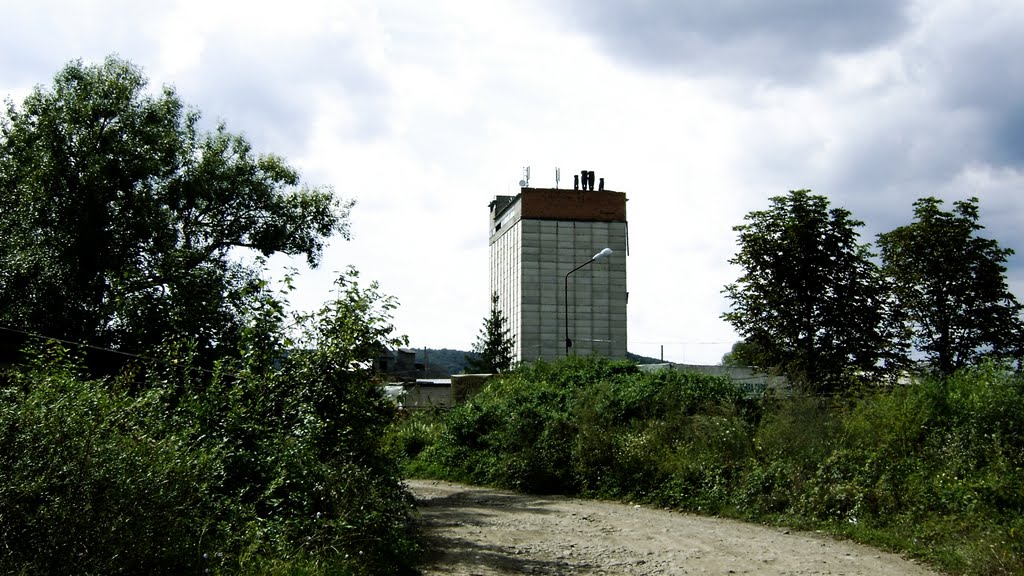 Іршава 009, Irshava 009 (Комбікорм)
