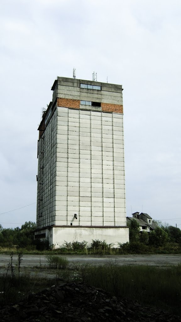 Іршава 023, Irshava 023 (Комбікорм)