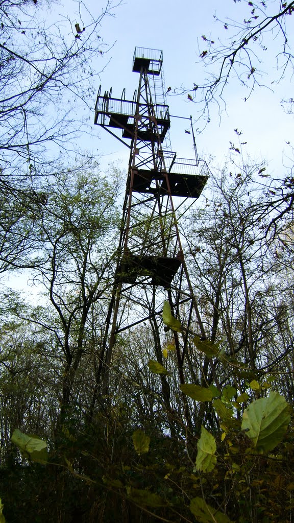 Іршава 026, Irshava 026 (Іршавська Вишка)