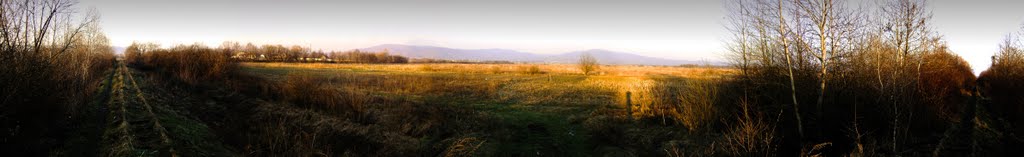 Іршава 039, Irshava 039 (Залізна дорога)