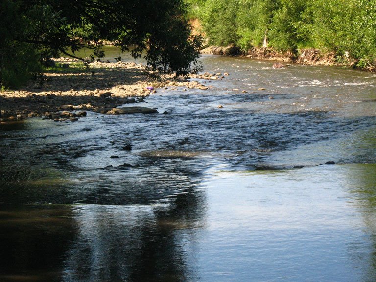 Irshavka river