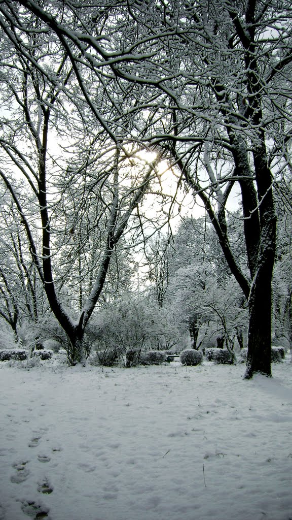 Зимовий Парк