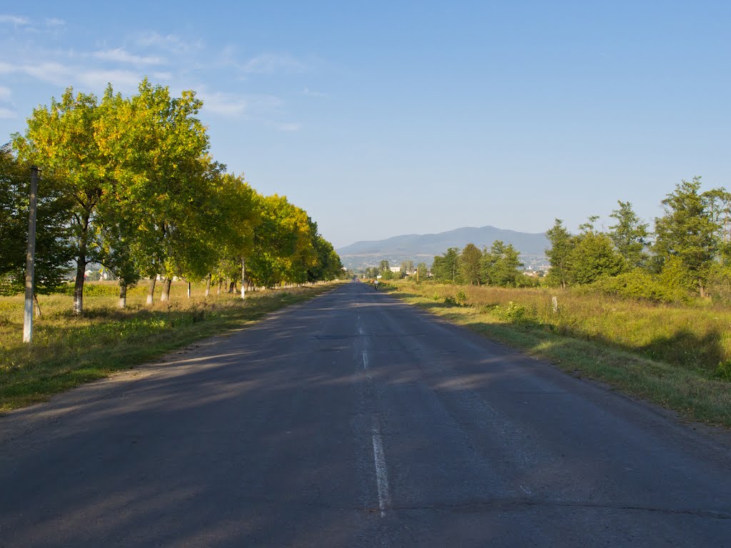Road from Irshava to Ilnitsya