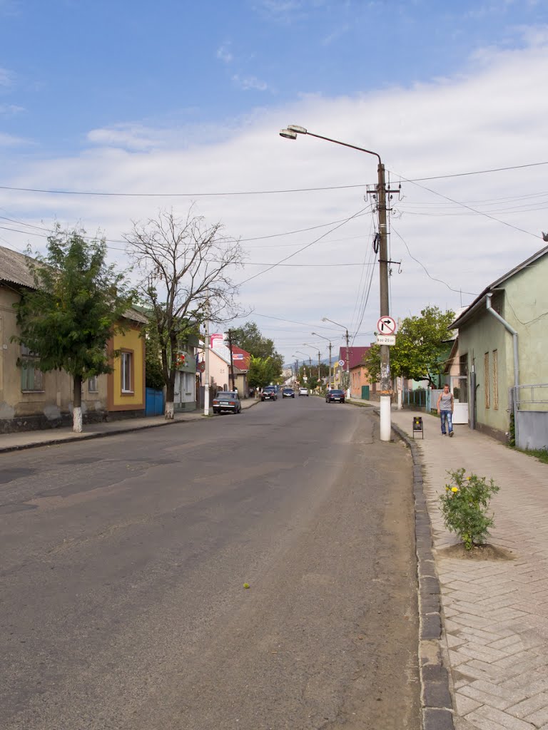 Streets of Irshava