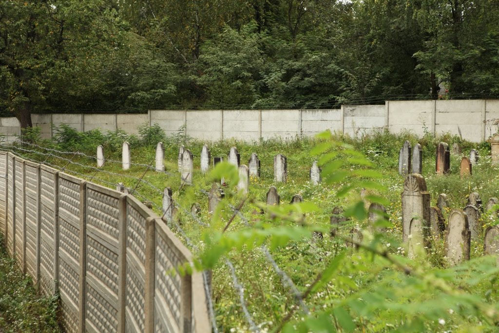Jewish cemetery in Irshava