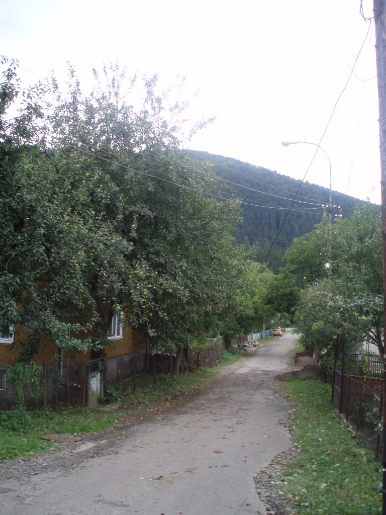 Вулиця Голікова