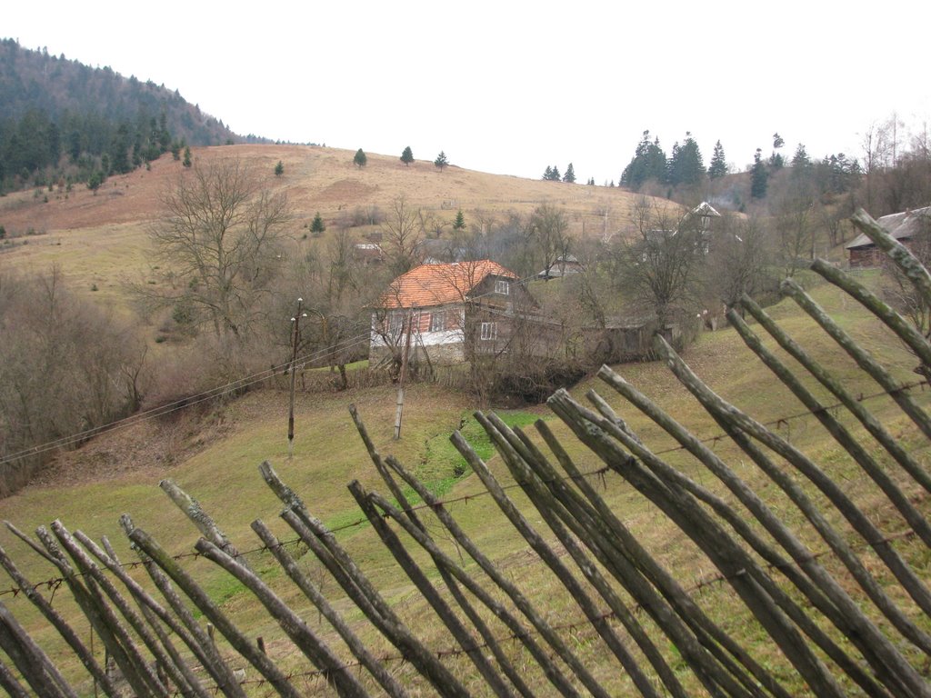 Долина р. Ріка