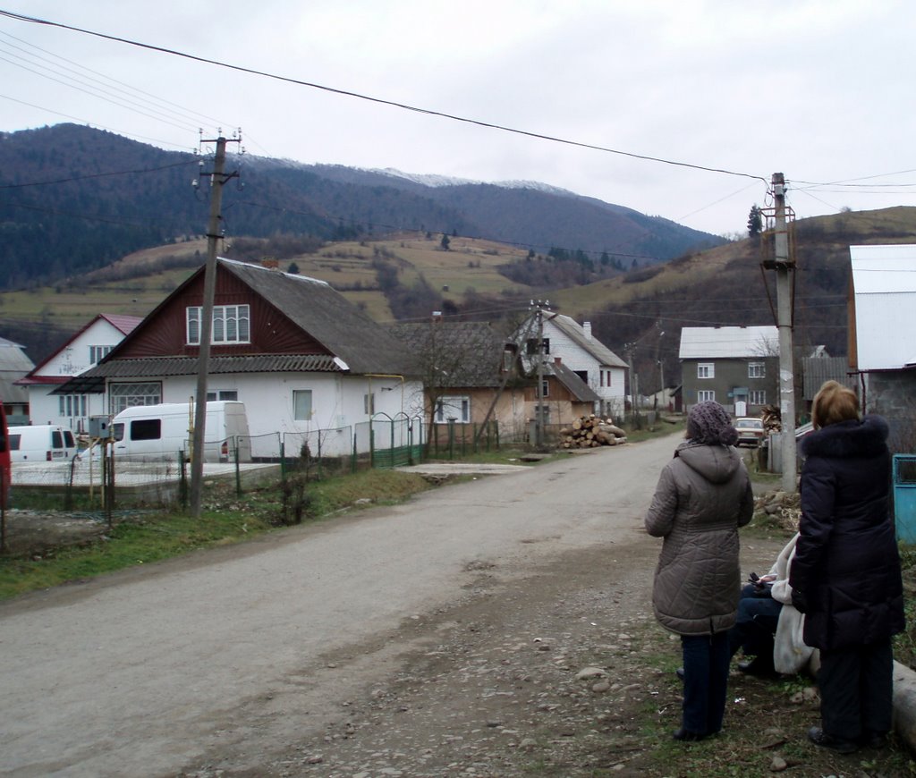 Дорога до річки
