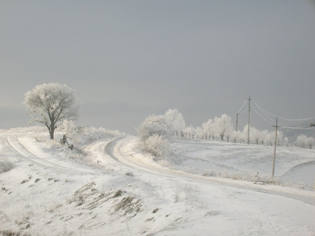 Одинокий странник