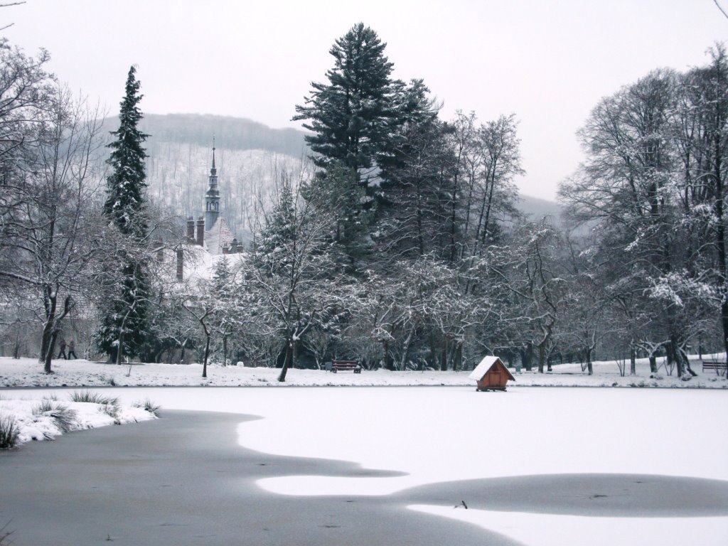 Winter lake of Shenborn castle