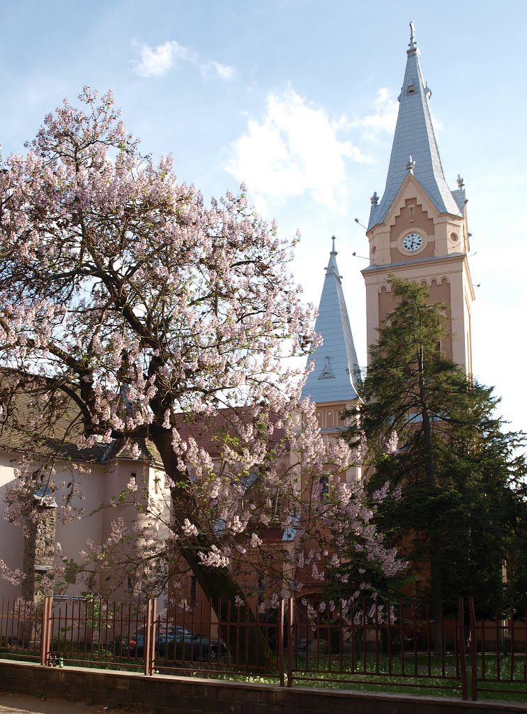 Весной / In the spring