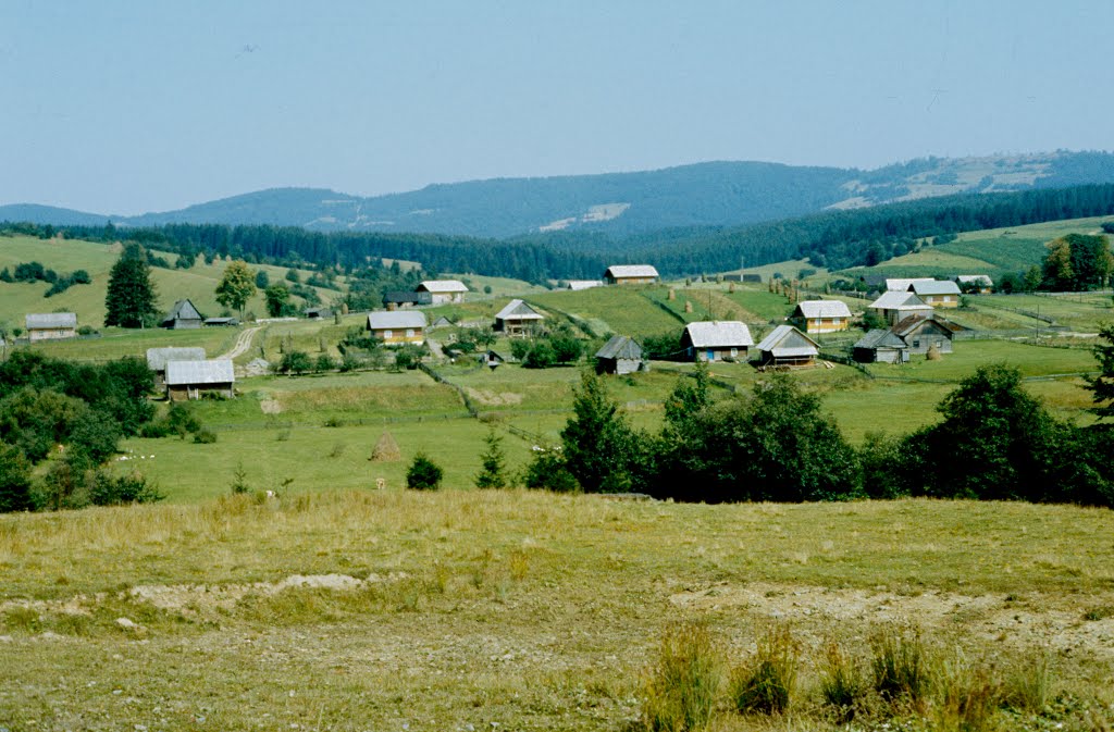 Siedlung in Transkarpatien