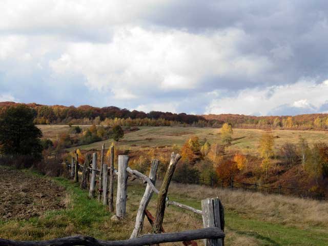 near Perechyn