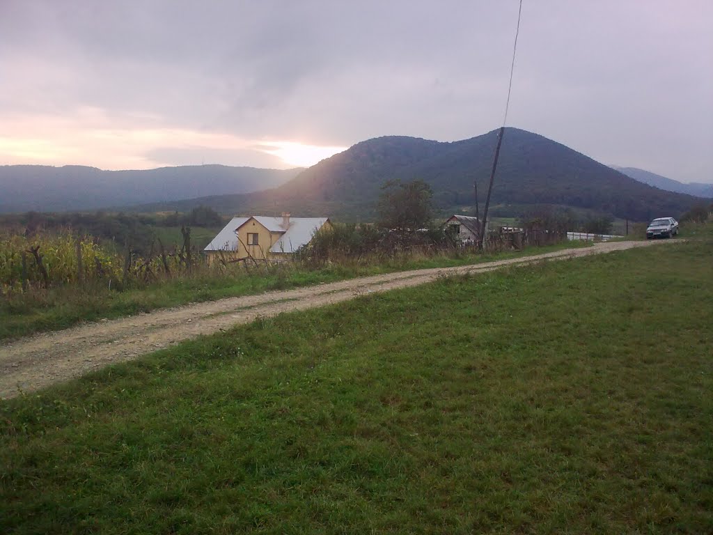 г. Висока - 2