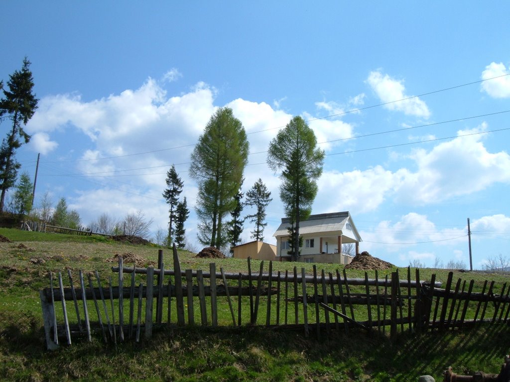 Rakhiv