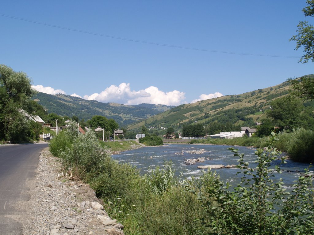 Tisa
